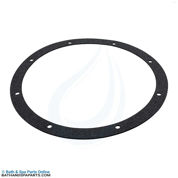 Aladdin Generic Amerlite/Amerquartz Niche Gasket (G-168)