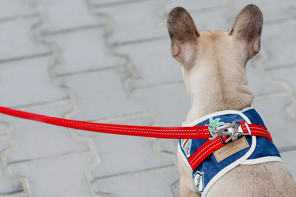 Bowl and Bone Navy Denim Dog Harness