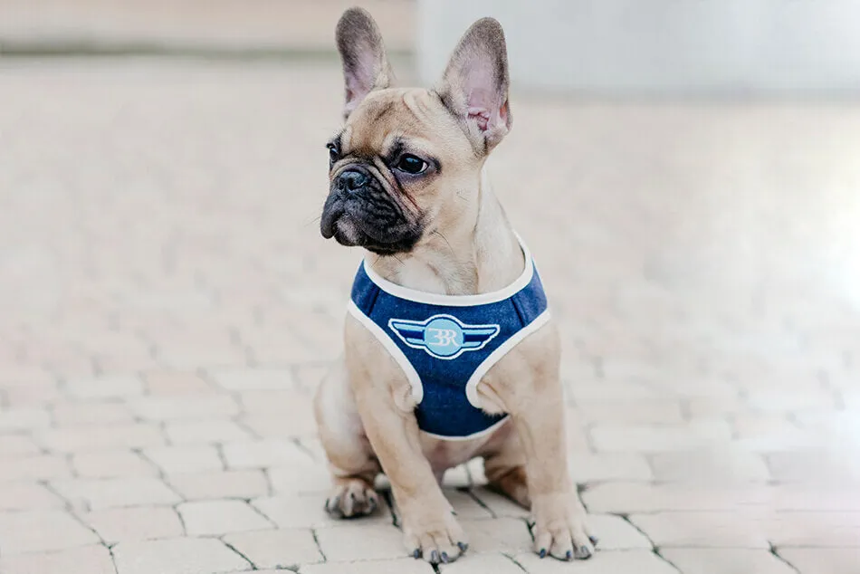 Bowl and Bone Navy Denim Dog Harness