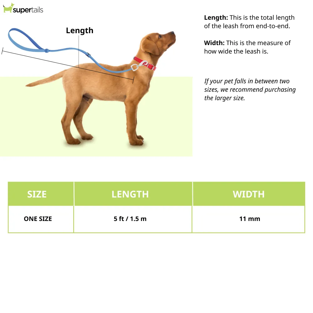 Ruffwear Just a Cinch Leash for Dogs (Lichen Green)