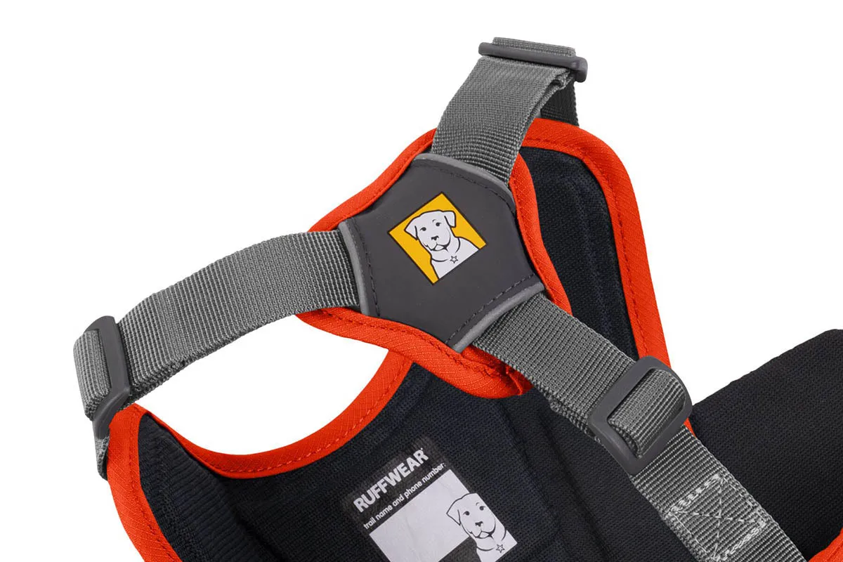 Web Master Harness Blaze Orange