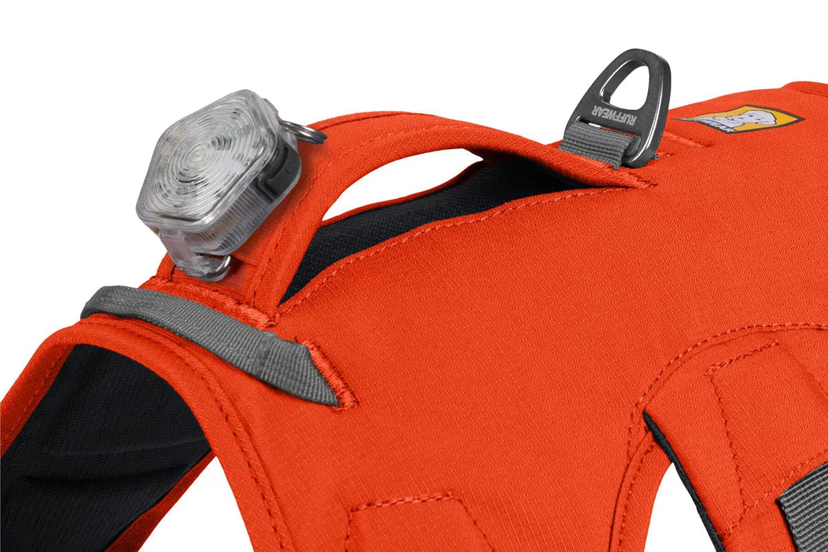 Web Master Harness Blaze Orange